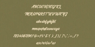 Hotline - Calligraphy Font Poster 1