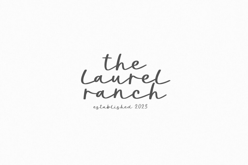 Howdy - Handwritten Script Font Poster 2
