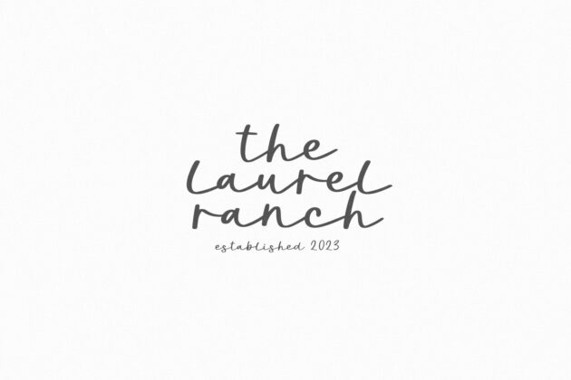 Howdy - Handwritten Script Font Poster 2