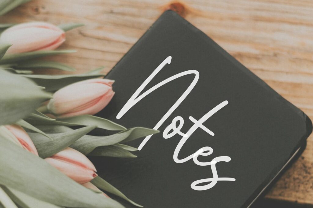 Howling Sinister Monoline Handwritten Font Poster 7