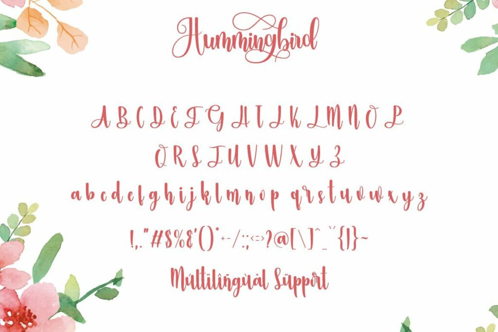 Hummingbird Poster 8
