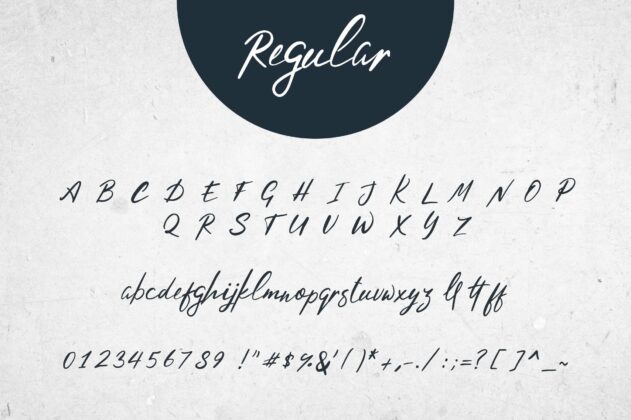 Hysteria Script - 2 styles Poster 8