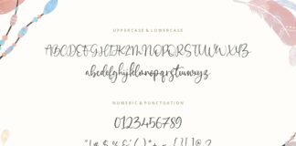 Indian Feather Beautiful Handdrawn Font Poster 1