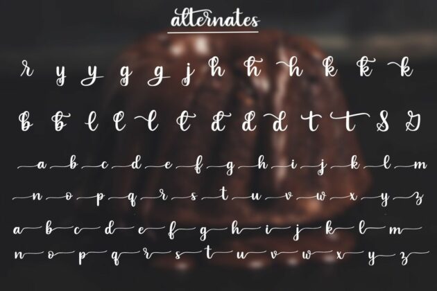 Indulgence - A handlettered script font Poster 2