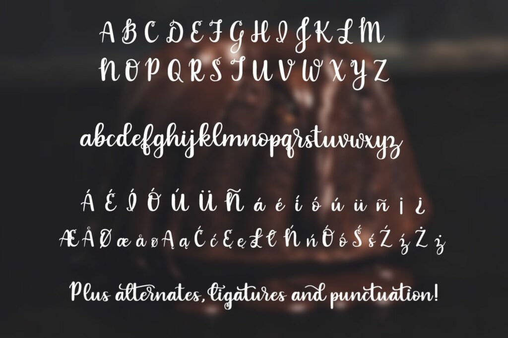 Indulgence - A handlettered script font Poster 6