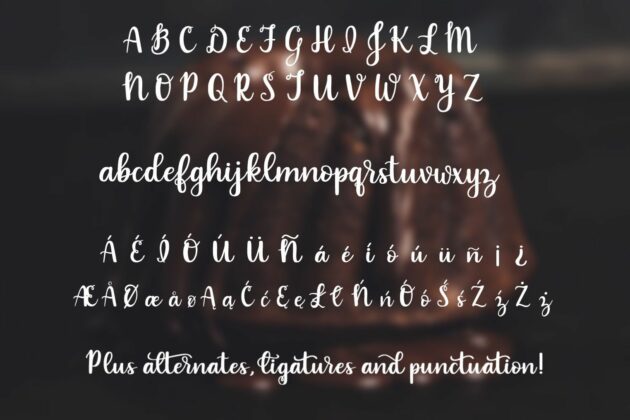 Indulgence - A handlettered script font Poster 6