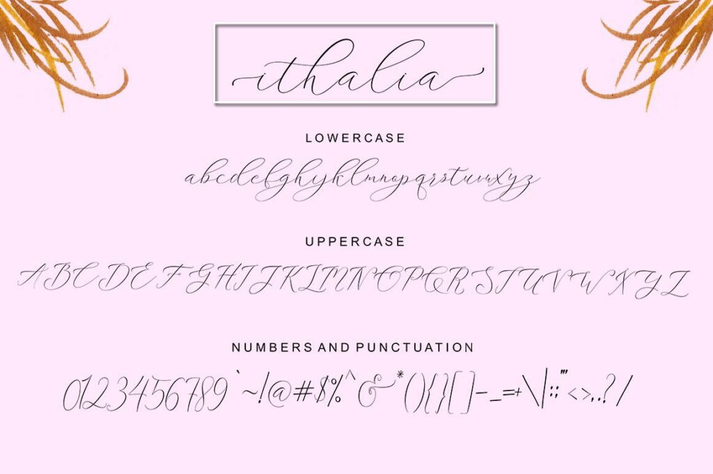 Ithalia Script Poster 6