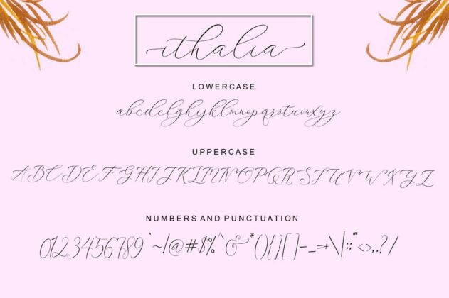 Ithalia Script Poster 6