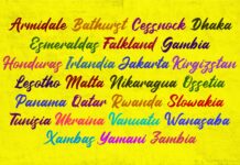 Jhandice Poster 1