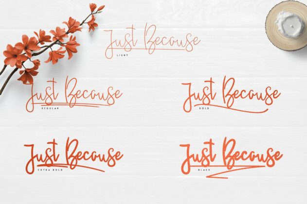 JustBecause font family Poster 3