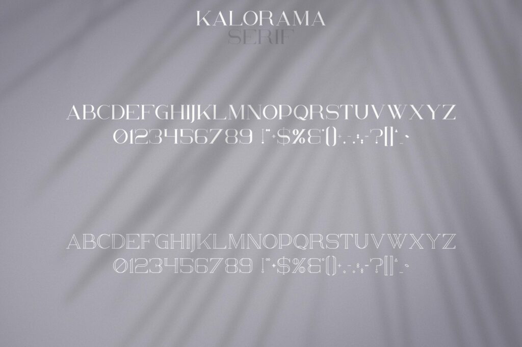 Kalorama - Font duo Poster 4