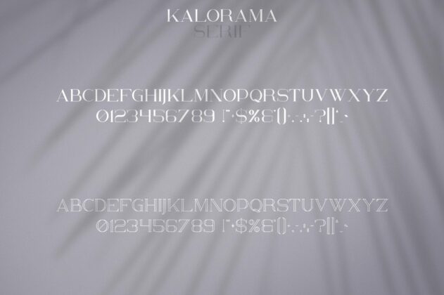 Kalorama - Font duo Poster 4