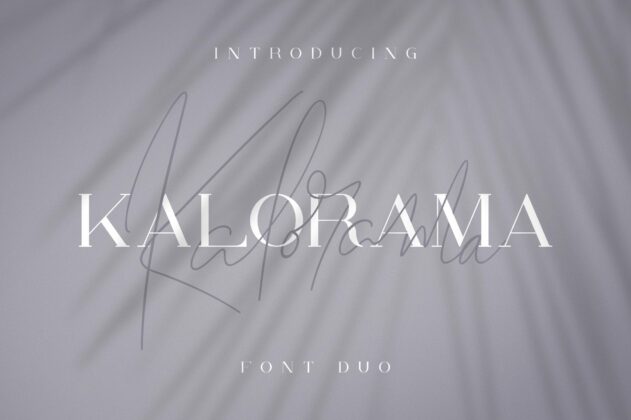 Kalorama - Font duo Poster 8