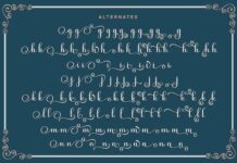 Kimberly Script | 3 Style Poster 1