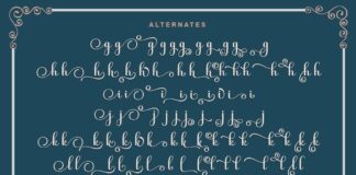 Kimberly Script | 3 Style Poster 1