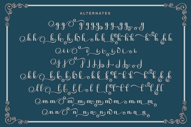 Kimberly Script | 3 Style Poster 1