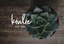Kinlie Poster 1