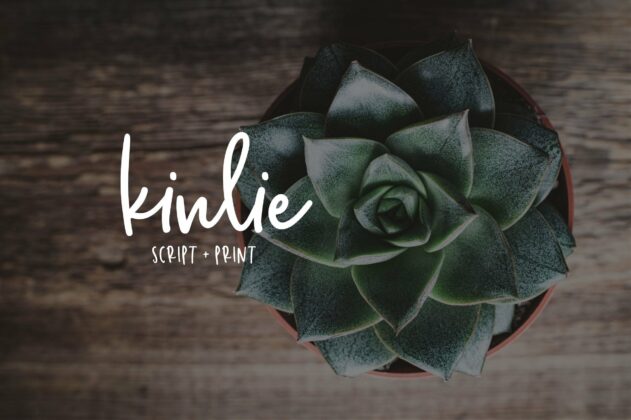 Kinlie Poster 1