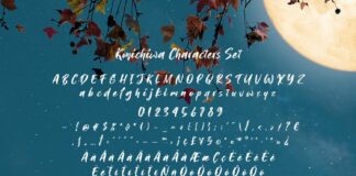 Konichiwa Brush Font Poster 1