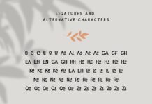 La Coquine Font Duo Poster 1
