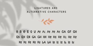 La Coquine Font Duo Poster 1