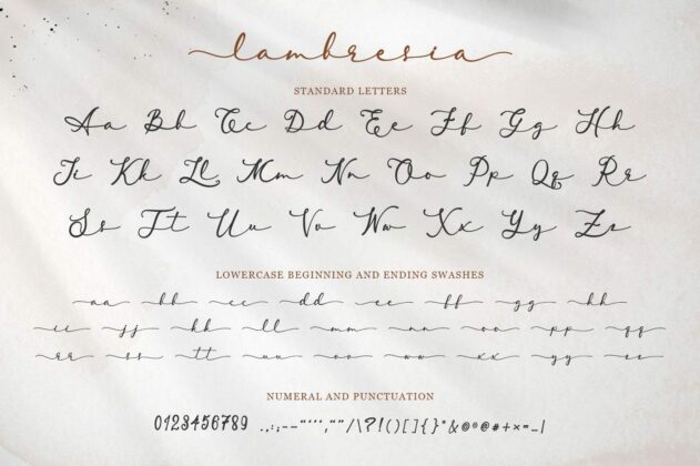 Lambresia Script Poster 3