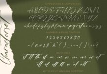 Laneky Haizen - Signature Script Font Poster 1