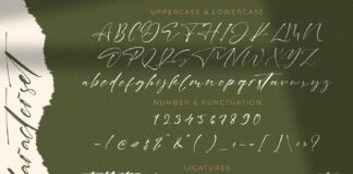 Laneky Haizen - Signature Script Font Poster 1