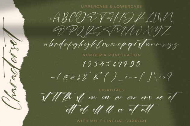 Laneky Haizen - Signature Script Font Poster 1
