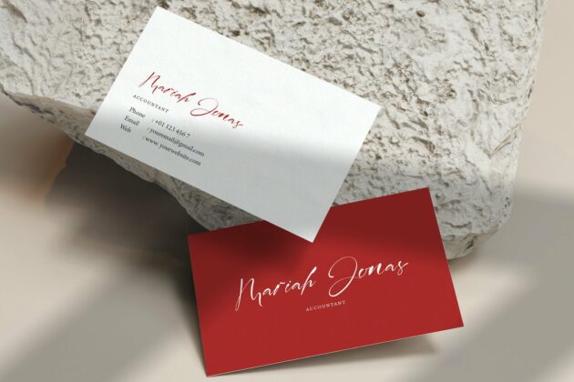 Laneky Haizen - Signature Script Font Poster 9