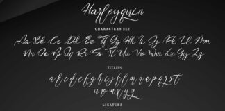 LIMITED OFFER!! Harleyquin Poster 1