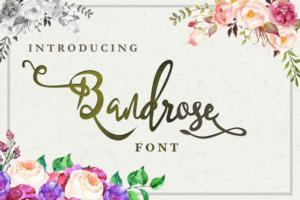 Limited time offer : 10 in 1 - font bundle Poster 4