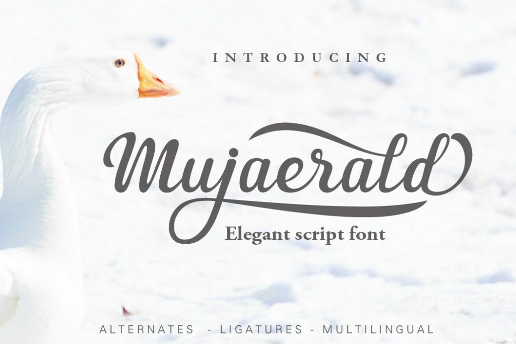 Limited time offer : 10 in 1 - font bundle Poster 6