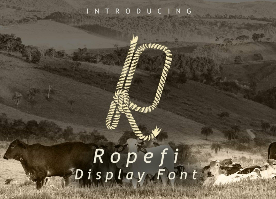 Limited time offer : 10 in 1 - font bundle Poster 9