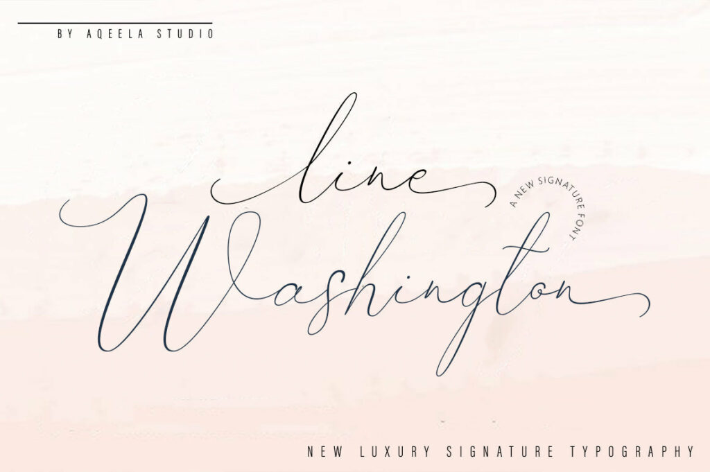 Line Washington Poster 2