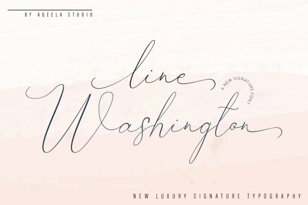 Line Washington Poster 2