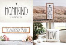 Little Farmhouse Font Bundle Poster 1
