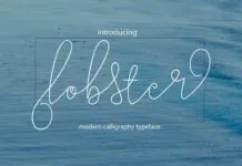lobster lobster Poster 1
