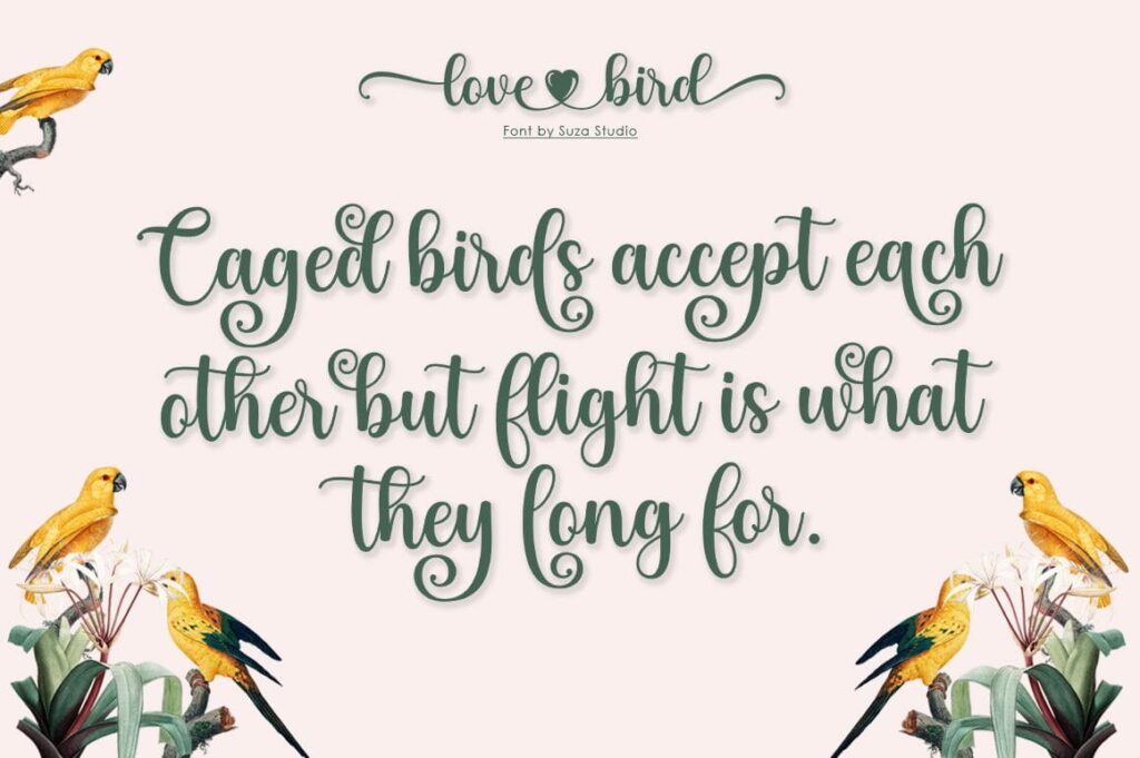Love Bird Poster 4