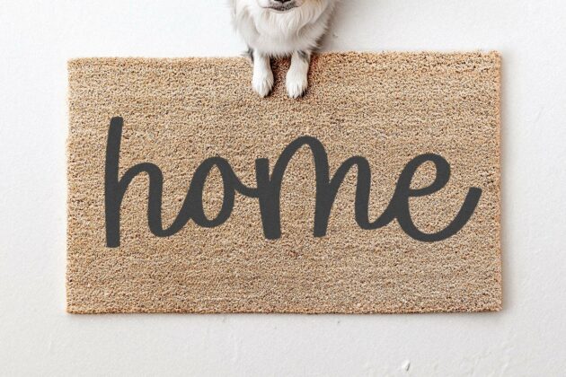 Lovestar - Cute Script Font Poster 3