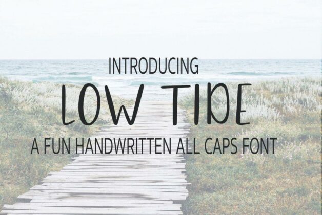 Low Tide Handwritten Font Poster 4