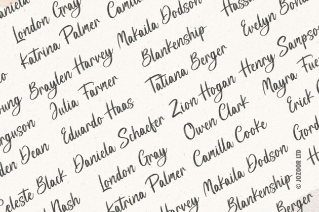 Luca Noah - Brush Heart Script Font Poster 5
