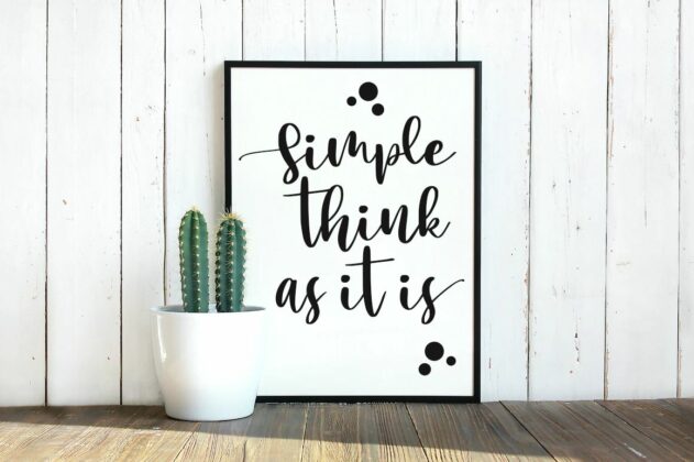 Mango Salsa with Bouncy Handwritten Script Font Style Poster 6