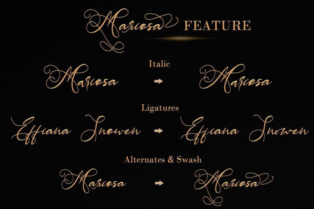 MARIOSA Poster 7