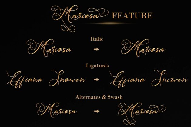 MARIOSA Poster 7