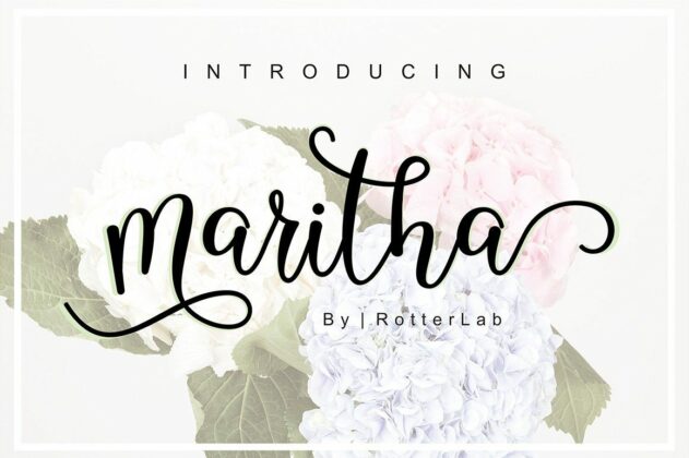 Maritha Script Poster 8