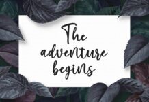 Marliesta Script Font Poster 1