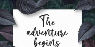 Marliesta Script Font Poster 1