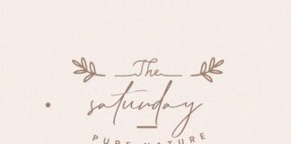 Matt Rostine - Signature Script Fonts Poster 1