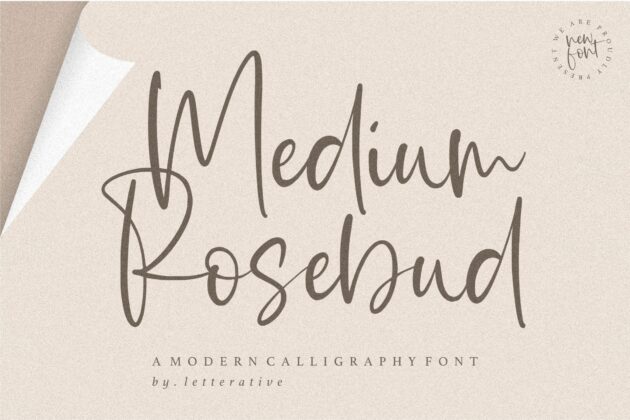 Medium Rosebud Modern Calligraphy Font Poster 3